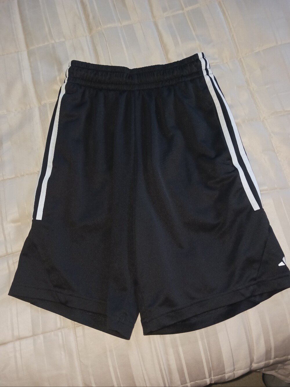 Men's adidas Shorts